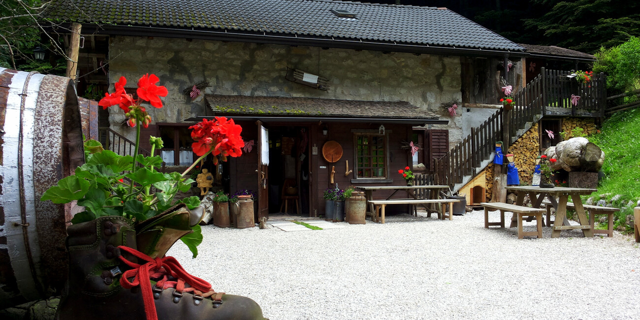 Agritur Malga Canali #2