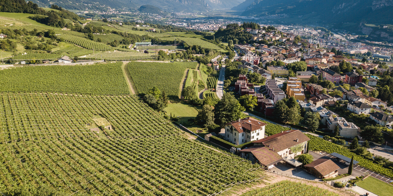 Azienda Agricola Biologica Maso Martis #3