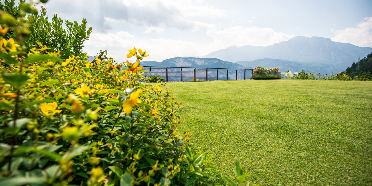 Azienda Agricola Biologica Maso Martis #5