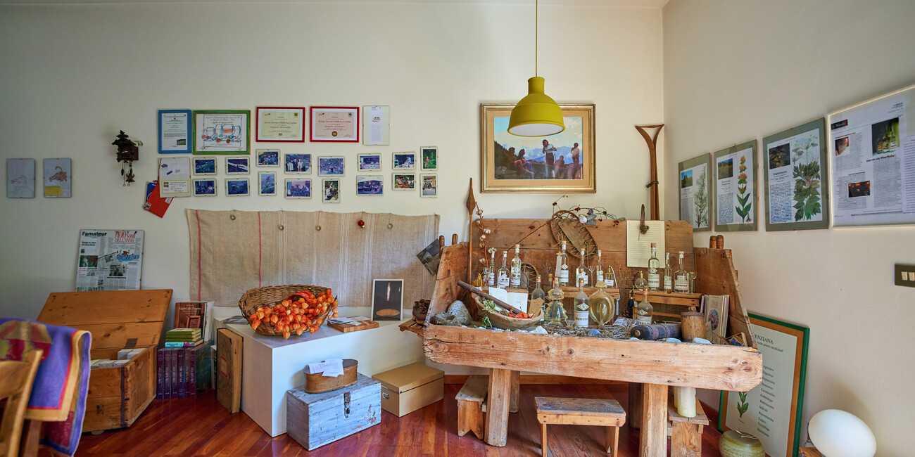 Distilleria Genziana GIOVANNI BORONI #2