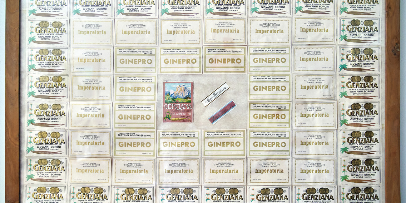 Distilleria Genziana GIOVANNI BORONI #3