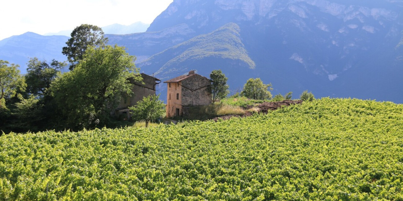 Borgo dei Posseri #2