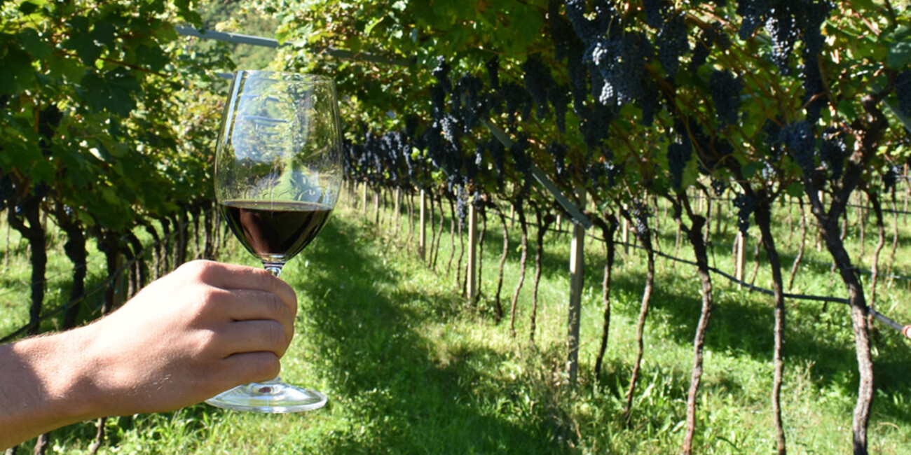 Cantina Sociale di Isera #2