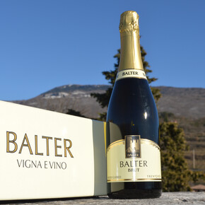 Azienda Agricola Balter Winery