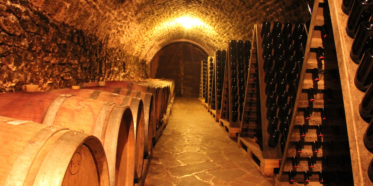 Azienda Agricola Balter #3