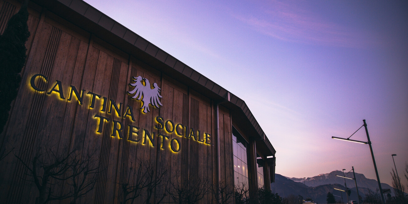 Cantina Sociale di Trento #6