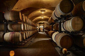 Azienda Agricola Albino Armani dal 1607