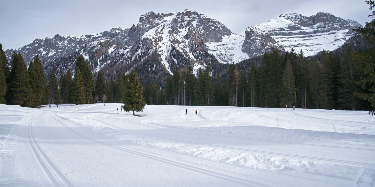 Scuola Italiana Sci di Fondo Malghette #2