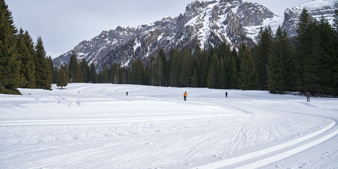 Scuola Italiana Sci di Fondo Malghette #9