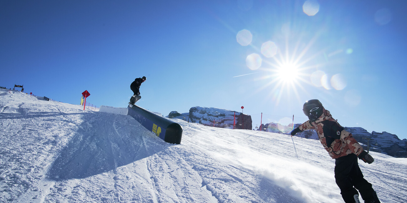 Scuola Snowboard Zebra #6