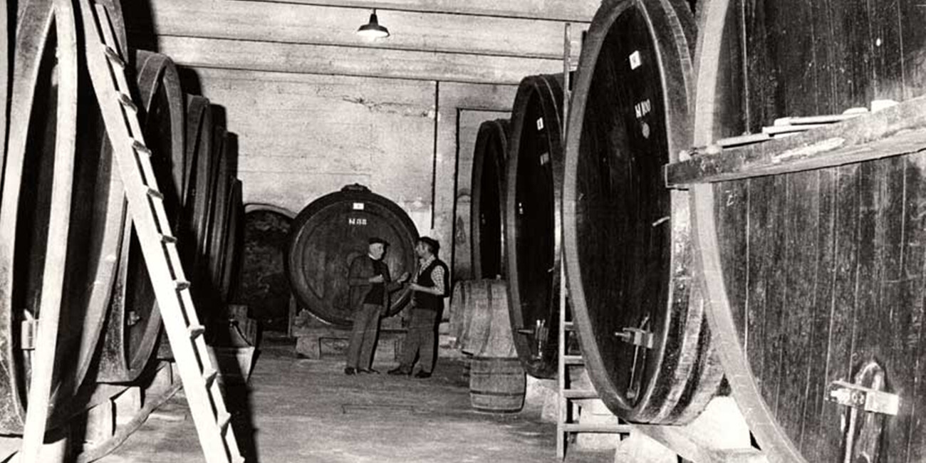 Cantina Elio Endrizzi #2