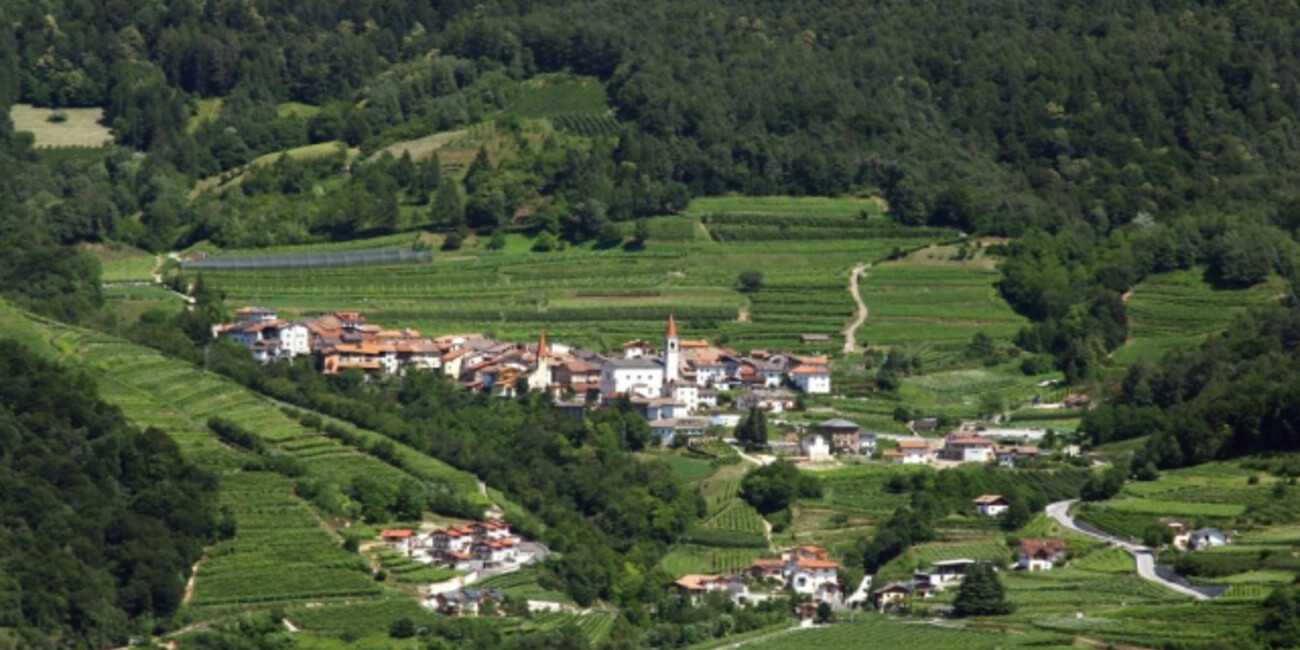 Az. Agr. Sandri Arcangelo #4