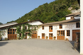 Distilleria Fratelli Pisoni