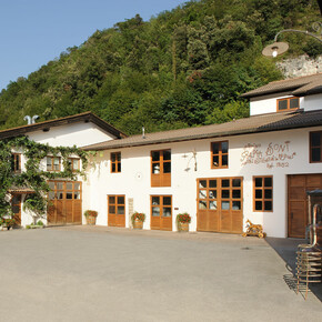 Distilleria Fratelli Pisoni