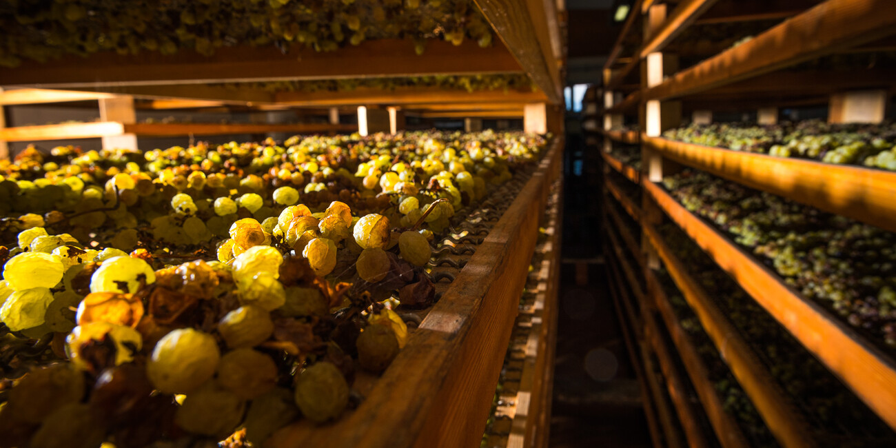 Cantina Toblino S.c.a. #1