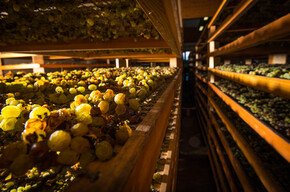 Cantina Toblino S.c.a.