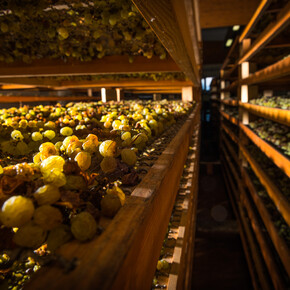 Cantina Toblino S.c.a.