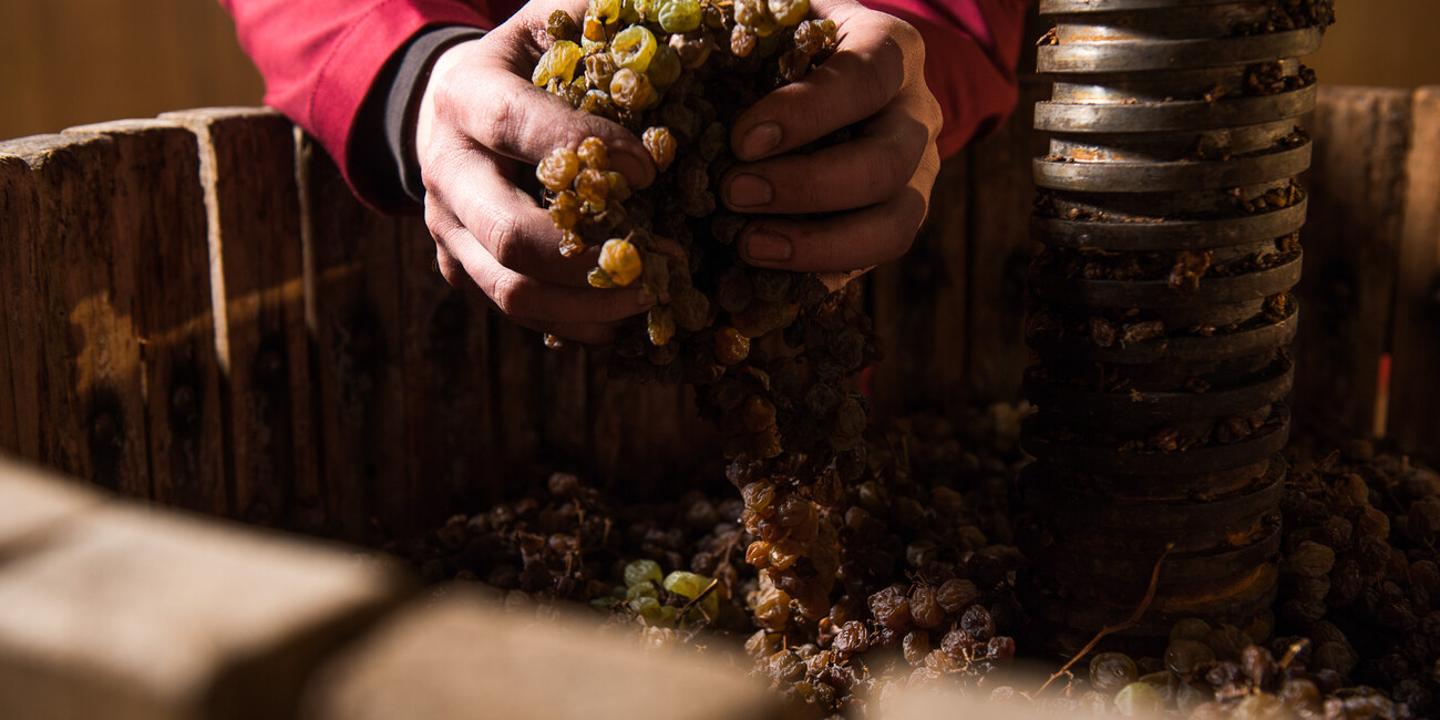 Cantina Toblino S.c.a. #2