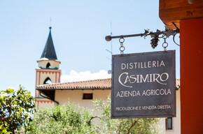 Casimiro Grappa e Vino