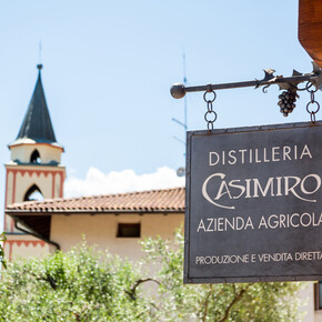 Casimiro Grappa e Vino