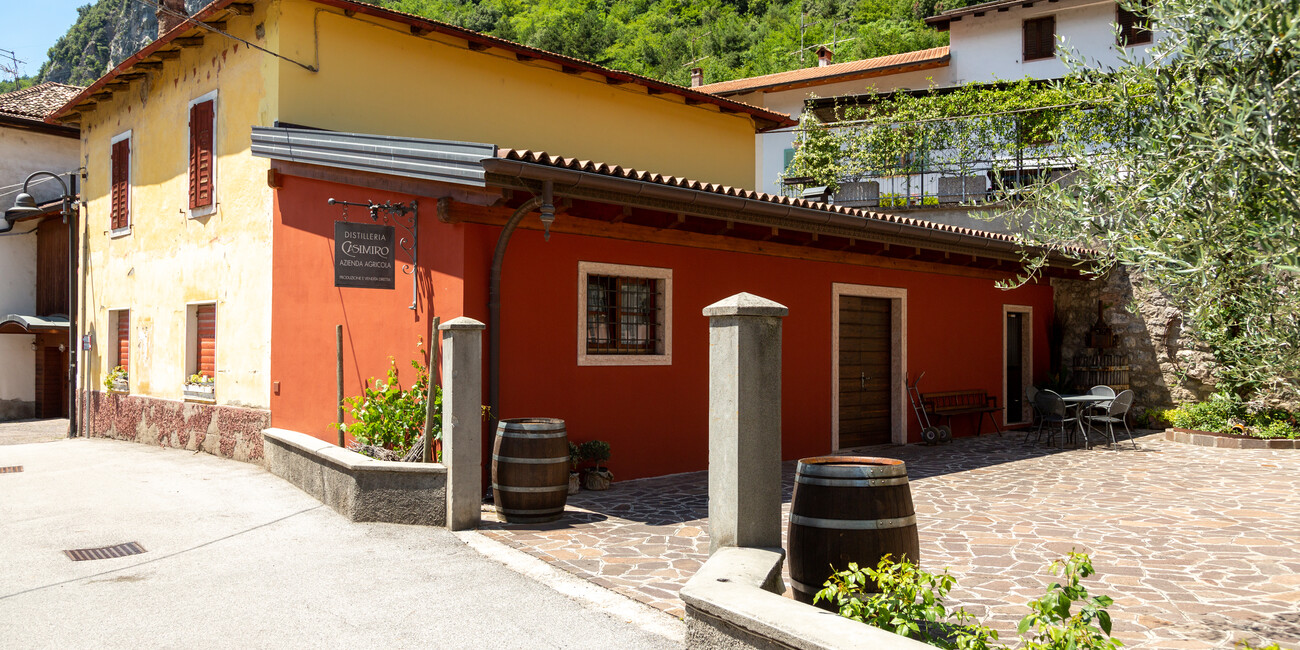 Casimiro Grappa e Vino #2