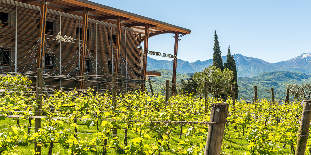 Cantina Toblino S.c.a. #5