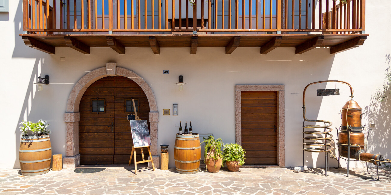 Casimiro Grappa e Vino #4