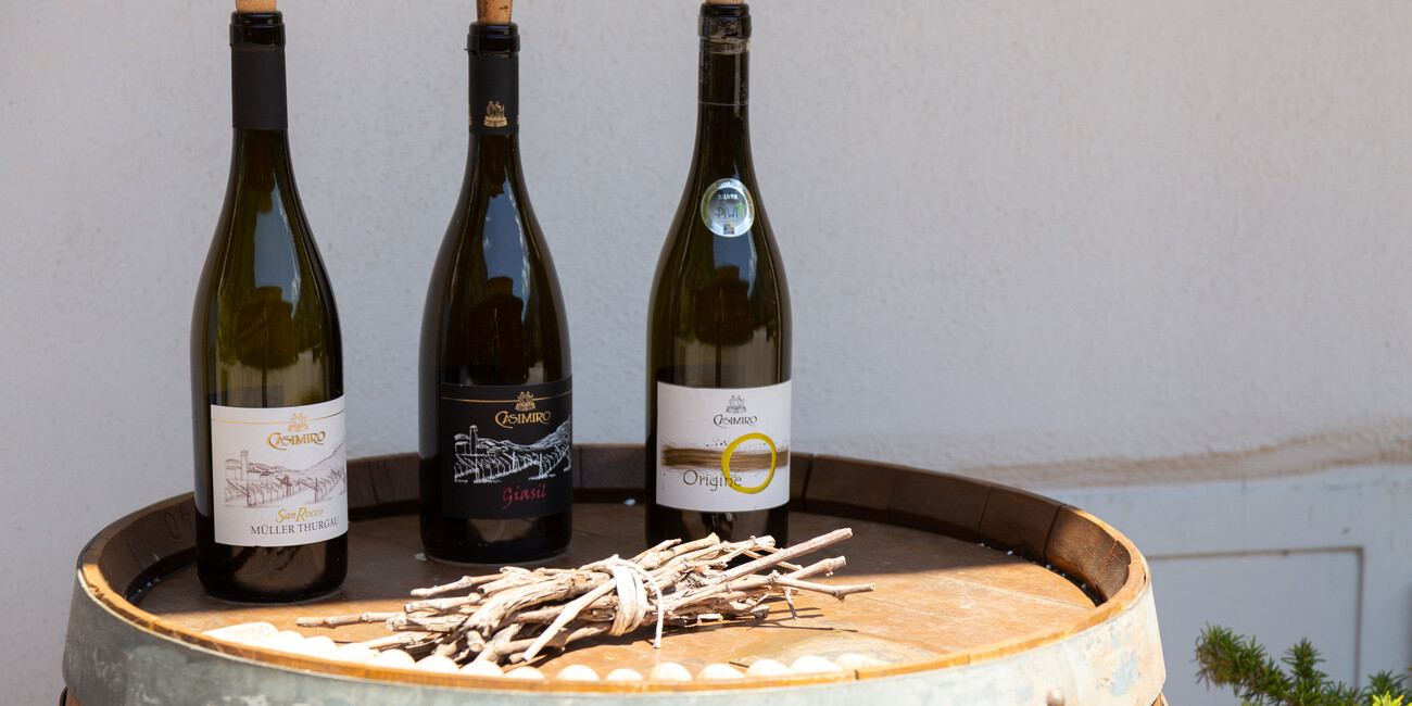 Casimiro Grappa e Vino #5