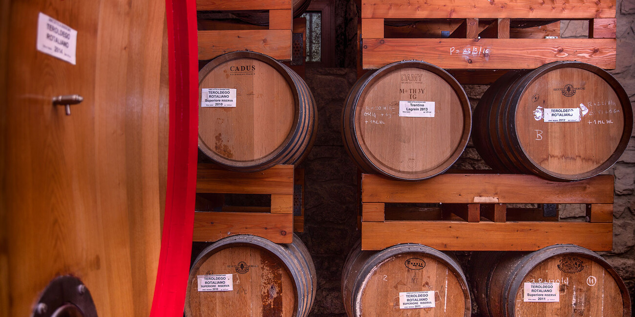 Az. Agr. Fedrizzi Cipriano #4