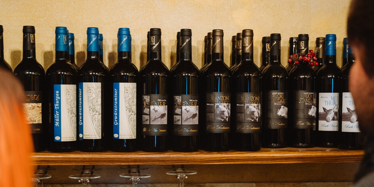 Cantina Vindimian Rudi #2