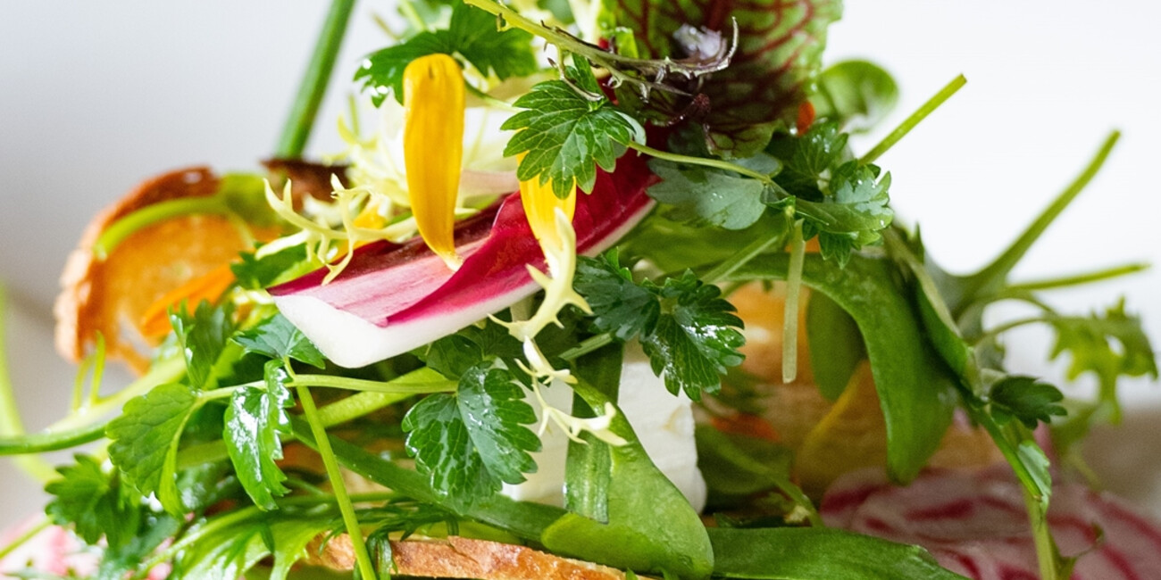 Elementi Ristorante #2