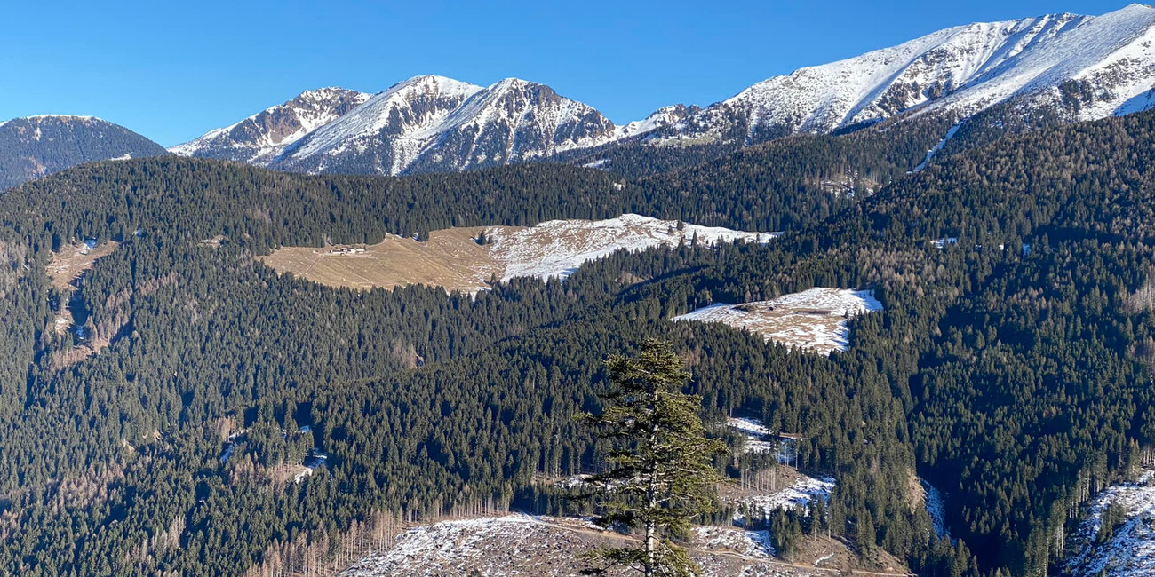 Punto panoramico Dosso di Costalta #7