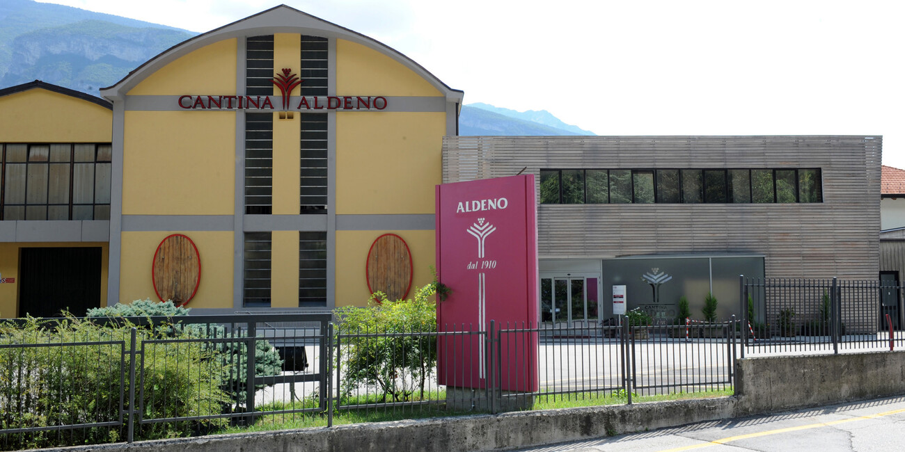 Cantina di Aldeno #3