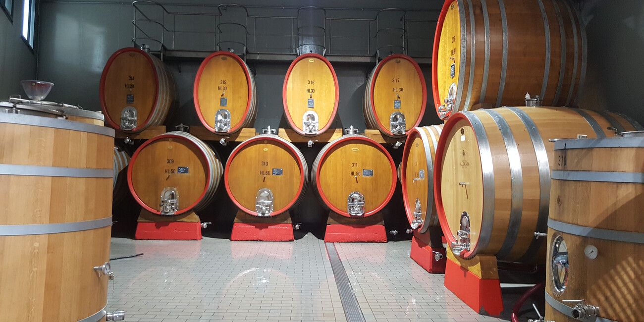 Cantina di Aldeno #4