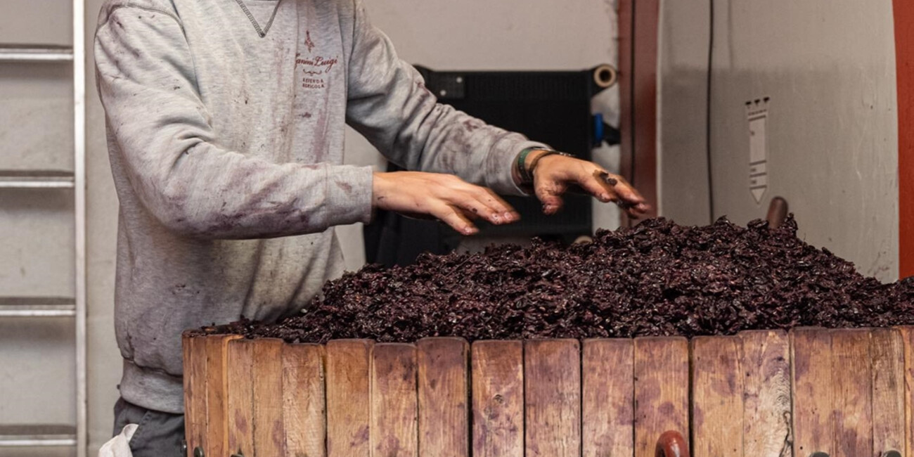 Cantina Zanini Luigi #4