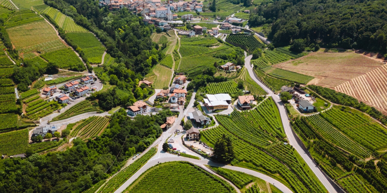 Az. Agr. Pojer e Sandri #3