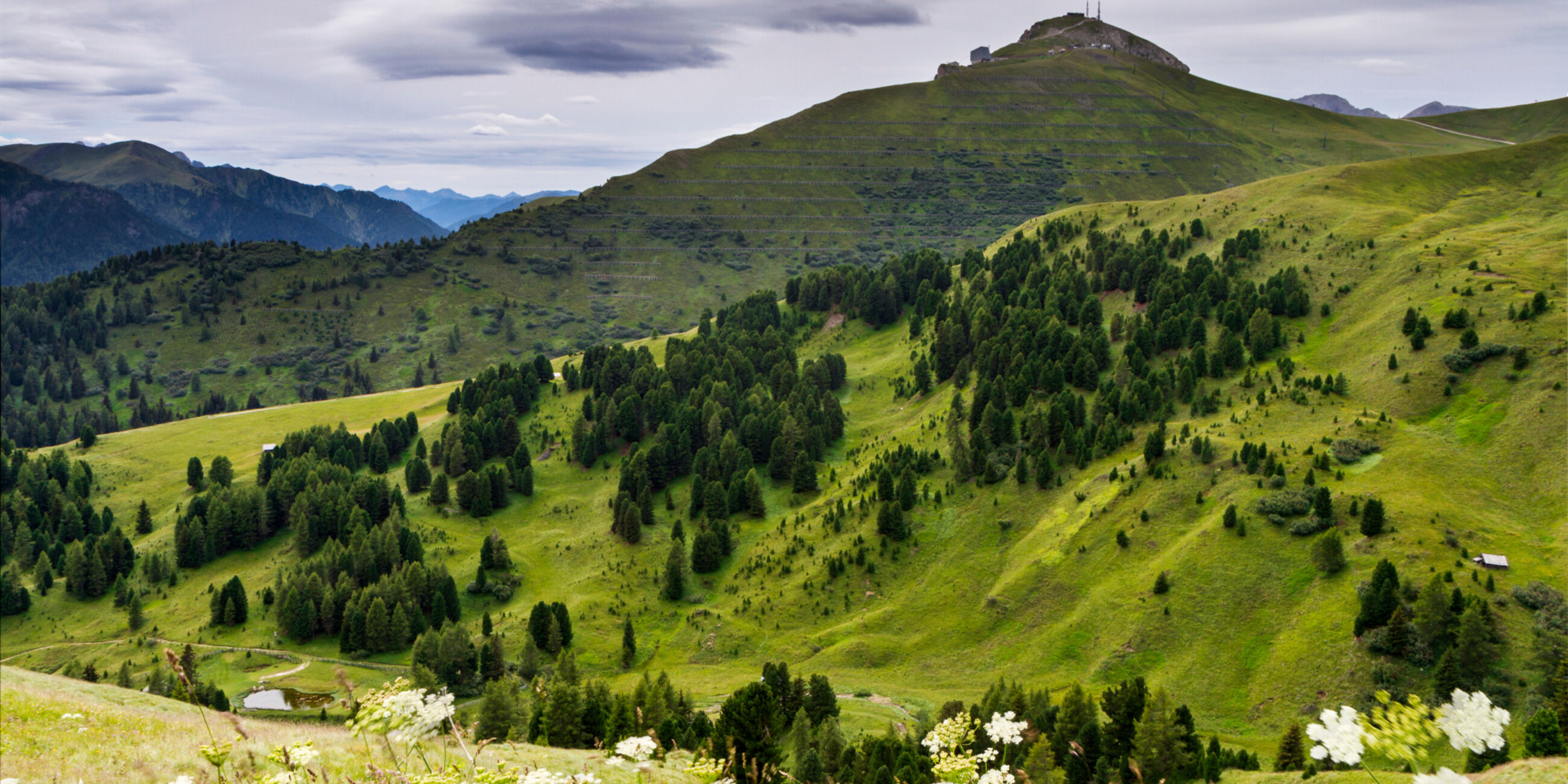 Punto panoramico Col Rodella - it - Guida - Trentino