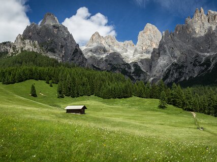 Prati Col, Pale di San Martino 