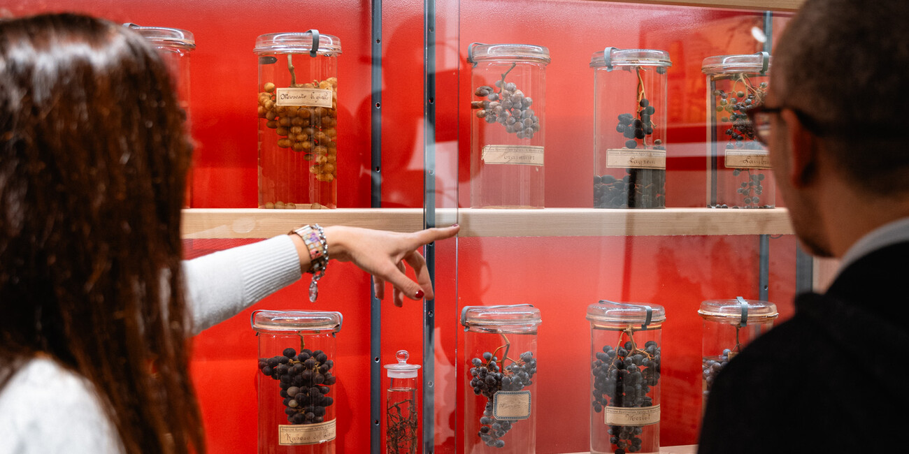 METS - Museo Etnografico Trentino San Michele #3