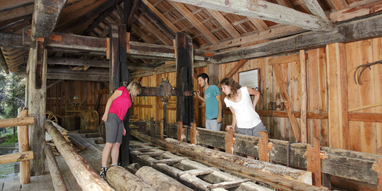 Segheria Veneziana dei Bègoi #2