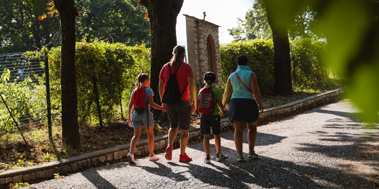 Ponte sospeso Mezzolombardo #4