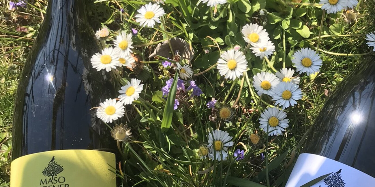 Az. Agr. Maso Grener #4