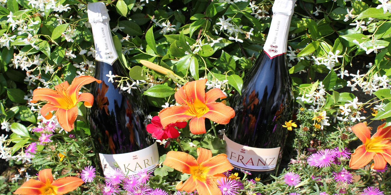 Terre del Lagorai #2