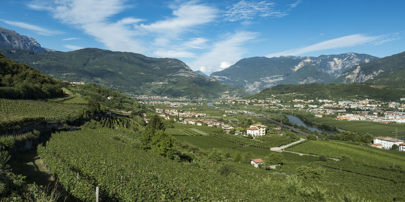 Azienda Vinicola di Spagnolli Enrico #1