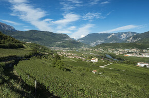 Azienda Vinicola Enrico Spagnolli