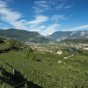 Azienda Vinicola Enrico Spagnolli