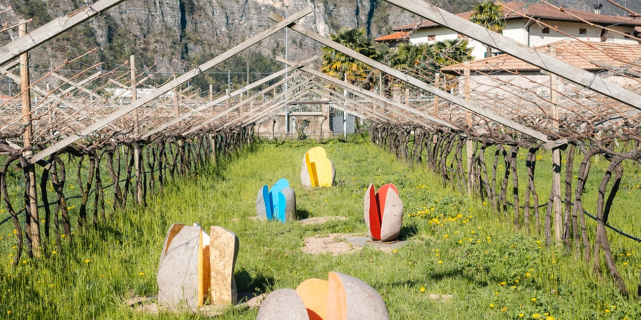 Cantina De Vigili #3