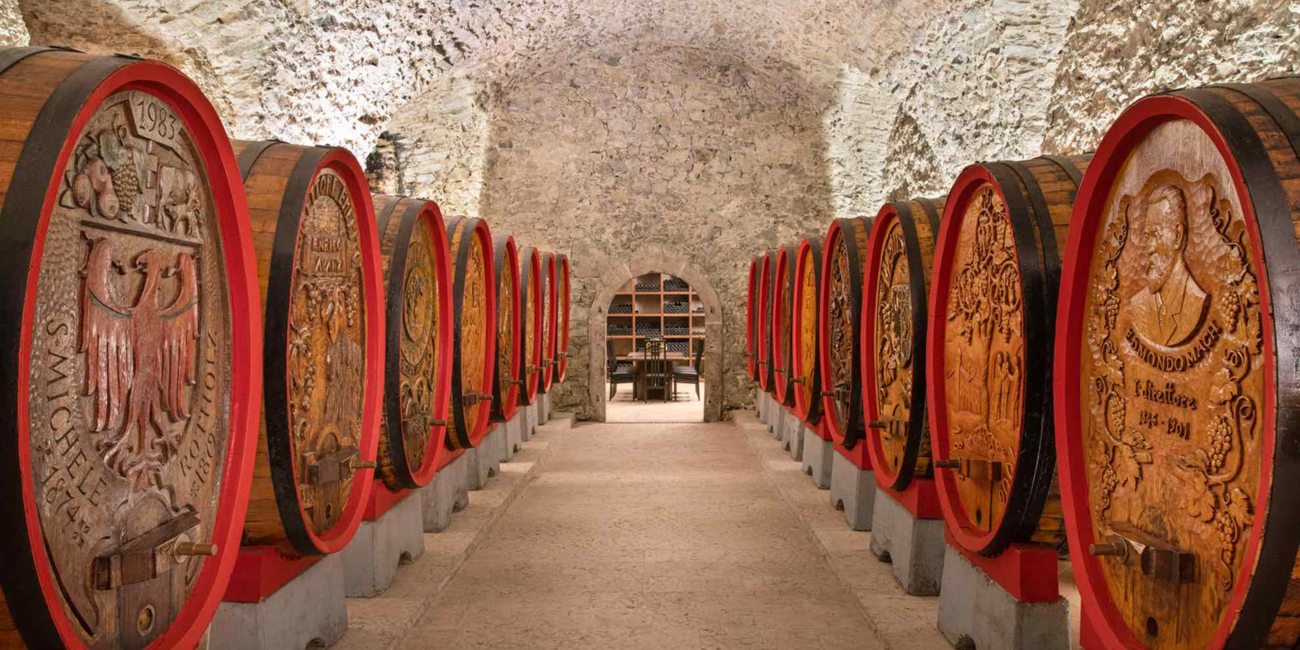 Cantina Fondazione Edmund Mach #2