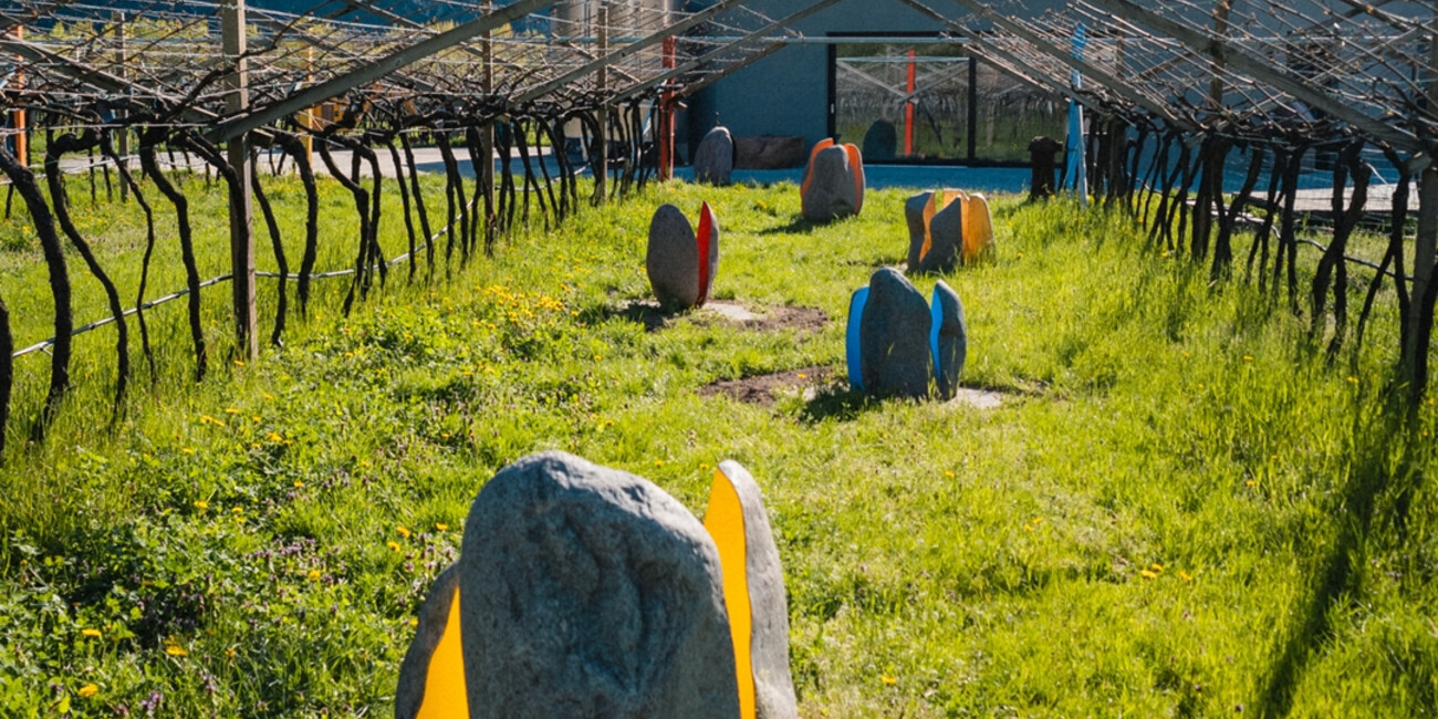 Cantina De Vigili #6