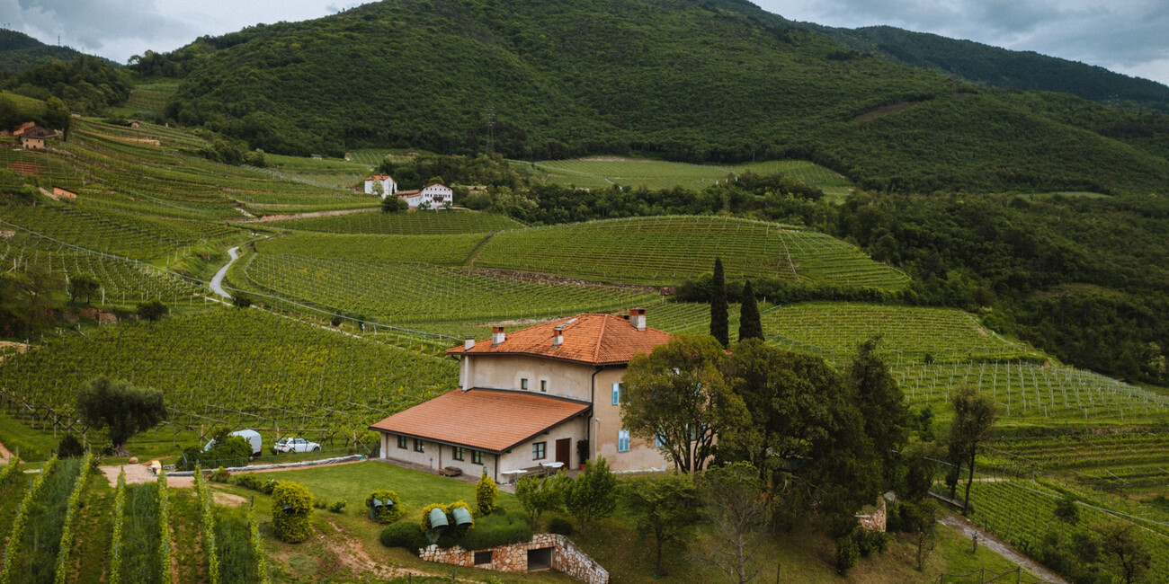 Az. Agr. Bellaveder #2